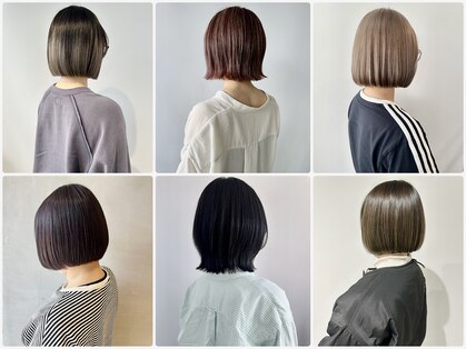 シェリッシュ ノース(Sheriche North)の写真