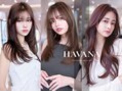 ドットハリス(.Hallis)の写真