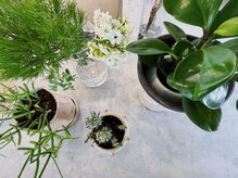 チャオ(ciAo!)の雰囲気（こだわりの詰まったセンス溢れる非日常な空間が魅力＊）