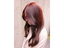 ラ カスタ 髪飛行切(La CASTA)