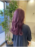 パープルガーネット