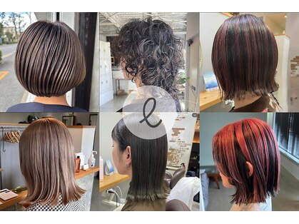 エピ(epi)の写真