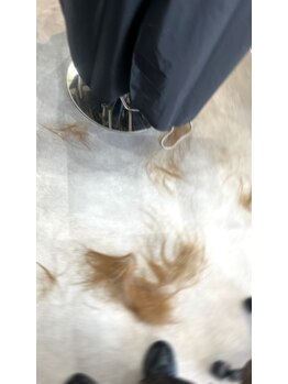 culuの写真/お家でも扱いやすいカットで毎朝のスタイリングが楽に！もちがいいスタイルを提案◎