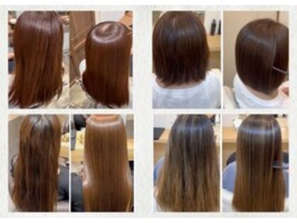 ディアーズ(Dears)の写真