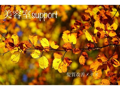 サポート(support)の写真