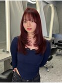 【杉本大地】韓国ヘア/ミディアムレイヤー/ワインレッド