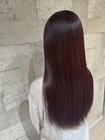 パダ(PADA)&nbsp;レッドブラウン/サラツヤ/髪質改善