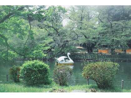 ポコリ(pocori)の写真