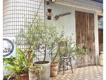 クオリア(QUALIA)の雰囲気（木の扉が目印です♪［柏/髪質改善/縮毛矯正/白髪染め］）