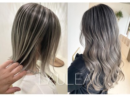 ラウレア(LAULEA)の写真