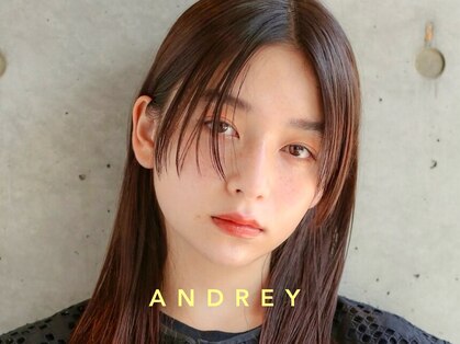 アンドレイ 表参道(andrey)の写真