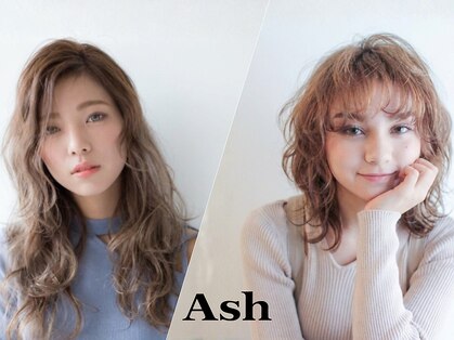 アッシュ 成増店(Ash)の写真