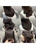 カット+シークレットハイライト+オーダーメイドトリートメント