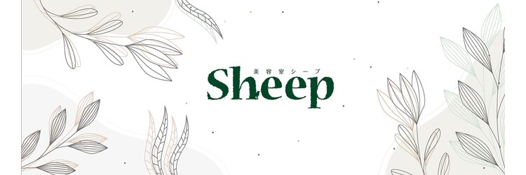 シープ(Sheep)のサロンヘッダー