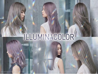 ティー(tea)の写真