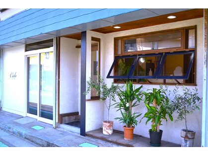 シエロ(Cielo)の写真