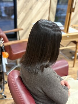 ルネッサンスヘアー ラファエロ(RAFFAELLO) 艶々グレイカラー