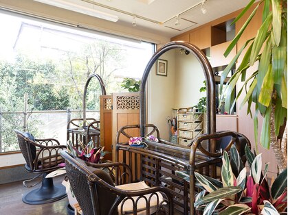 伊藤洋子の店の写真