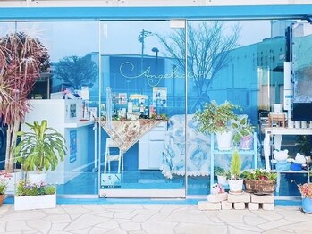 Angelico【アンジェリコ】