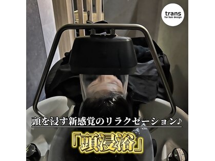 トランス フォー ヘアー デサイン(trans for hair design)の写真