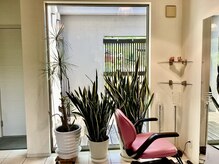 華凛の雰囲気(施術席が外から見えないよう配慮されたプライベート空間で安心◎)