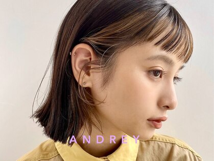 アンドレイ 表参道(andrey)の写真