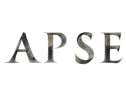 APSE STOREの写真