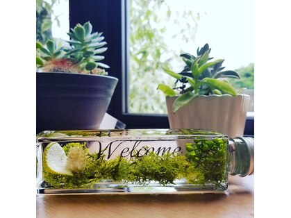 エル elle BEAUTY PLAZAの写真