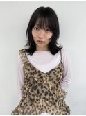 ミディアムレイヤー