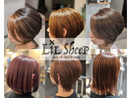 リルシープ(Lilsheep)の写真