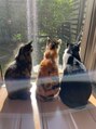 ベースヘアー(BASE hair) 毎日3人にデレデレです(ΦωΦ)