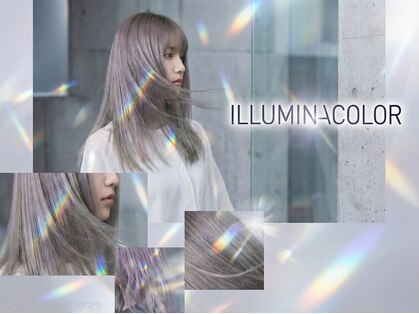 ティー(tea)の写真