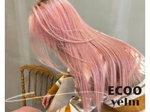 エクーエルム 心斎橋(ECOO yelm)