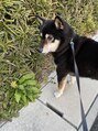 ミラートーク(MIRROR TALK)&nbsp;愛犬トークを聞くのが大好きです