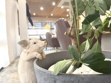 クレオ(CLEO)の雰囲気（無理をしない☆いい人間関係を☆オープニングスタッフ募集☆）