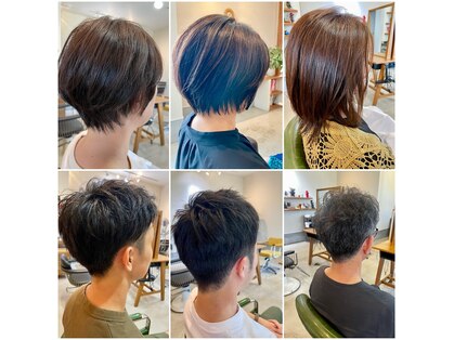 プリンプ(primp)の写真