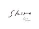 シロ(shiro)の写真