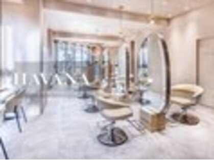 ドットハリス(.Hallis)の写真