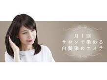 【ザクロペインターカラー】(ジアミンフリー)について