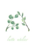 Instagram@latte.hair_atelier