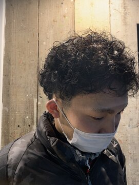 シェア(Share) 【 Share TOMO 】プードルパーマ