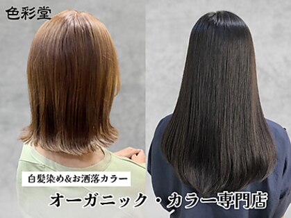 色彩堂 ひばりヶ丘店の写真