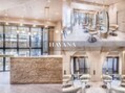 ドットハリス(.Hallis)の写真