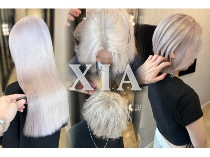 シア(XIA)の写真