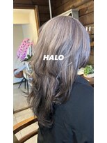 ハロ(HALO)&nbsp;シャム猫みたいな透明感
