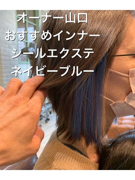 レーヴ ヘアー シエル(Reve hair ciel) シールエクステ　インナーネイビーブルー　２０代/３０代/４０代