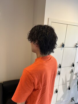 ホル(HOL) サーフカーは