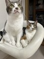 シリ アンド ブラント(siri and brunt) 猫大好きです。ソラ/ミナミ