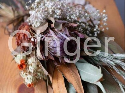 ジンジャー(Ginger)の写真