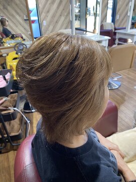 ルネッサンスヘアー ラファエロ(RAFFAELLO) 艶々グレーカラー